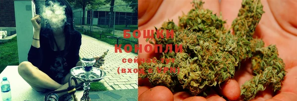 прущая мука Горняк